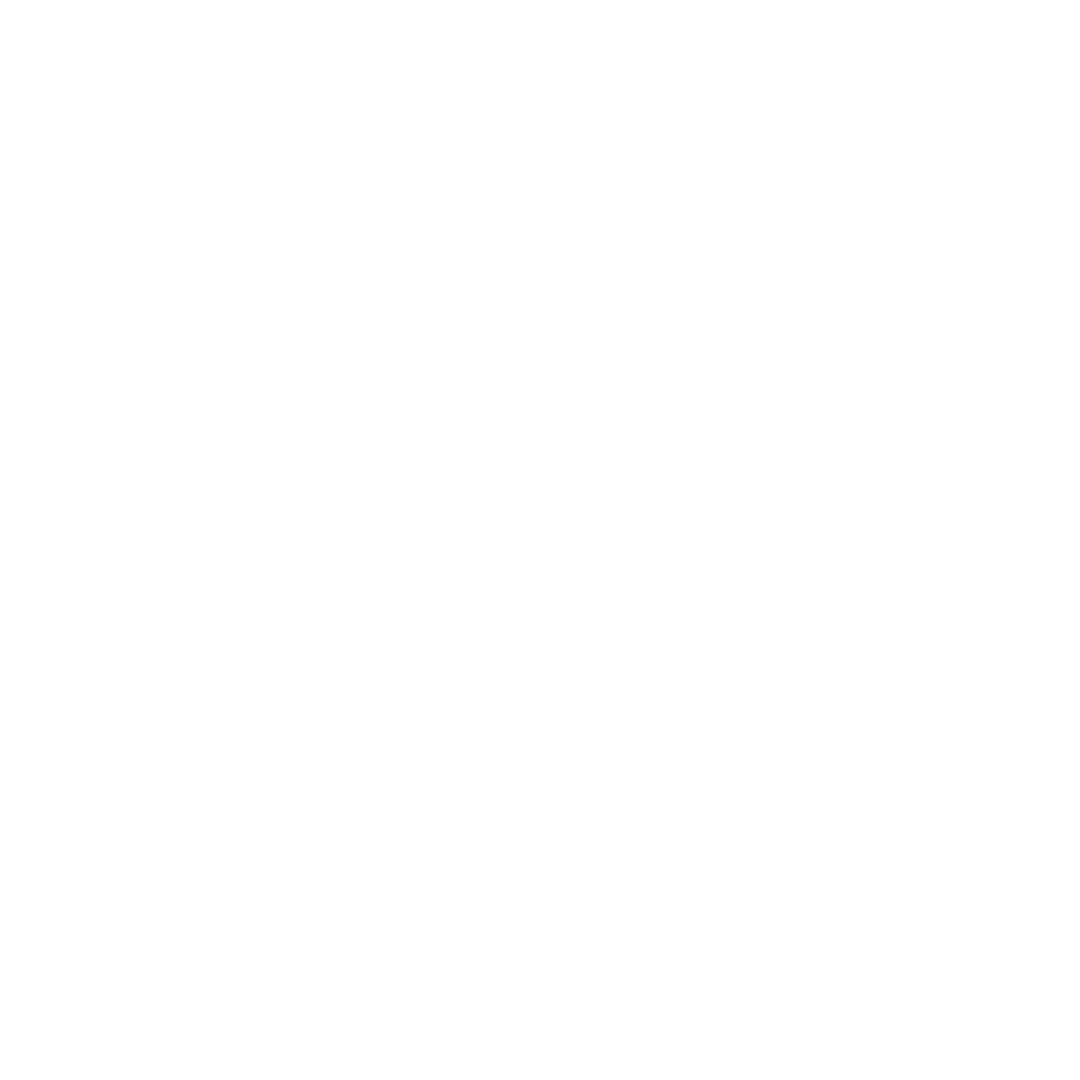 Write With Light Publications is an All inclusive Organization